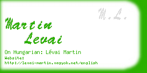 martin levai business card